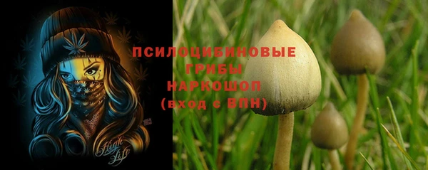 а пвп мука Вяземский