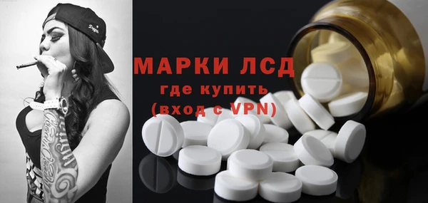 сатива Волосово