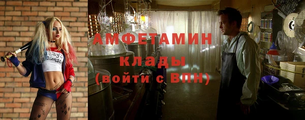 сатива Волосово