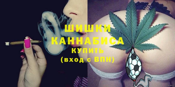 сатива Волосово